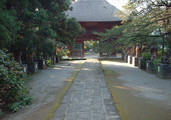 茂林寺「写真」