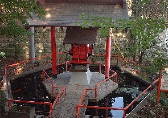 藤の弁財天「写真」