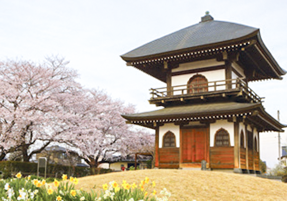 善長寺「写真」